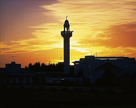 清真寺,夜晚,东方,迪拜,阿拉伯,阿联酋,中东
