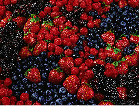 黑莓,蓝莓,树莓,草莓