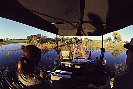 非洲,博茨瓦纳,奥卡万戈三角洲,旅游,引导,旅行队,乘,湿地