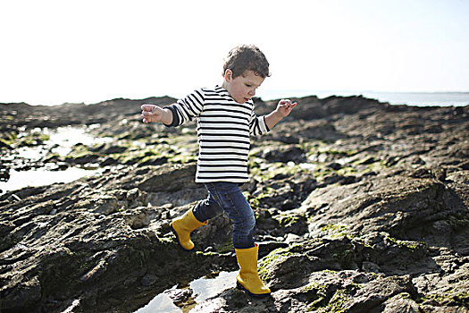 3岁,男孩,玩,石头,靠近,海滩