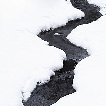 暗色,溪流,白色背景,雪