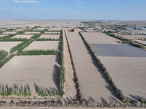 新疆哈密,大新疆的农田,就是这么美