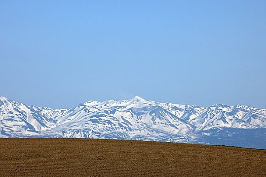 十胜岳山,美瑛