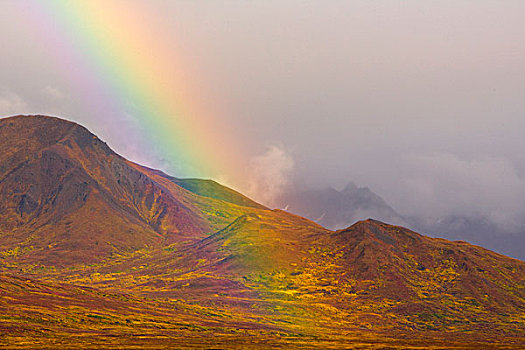 彩虹,阿拉斯加山脉,秋天,苔原,德纳里峰国家公园,阿拉斯加