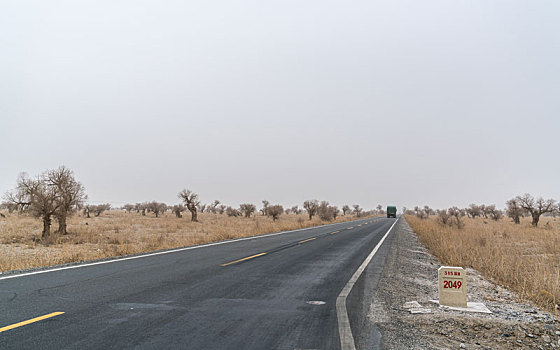 新疆巴州公路