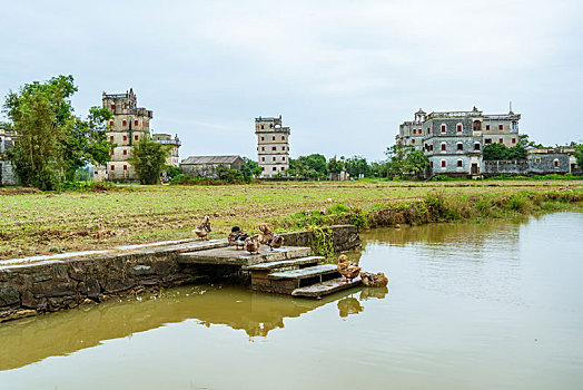 中国广东开平碉楼自力村景区