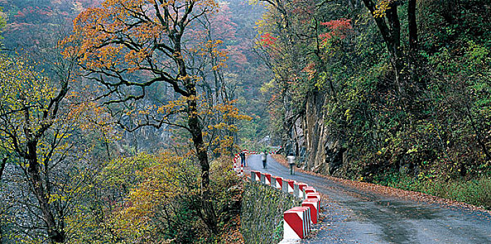 湖北神农架风景