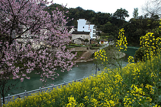 石潭村,安徽,古村落,住宅,建筑,历史,文化,居民,痕迹,村庄,老街