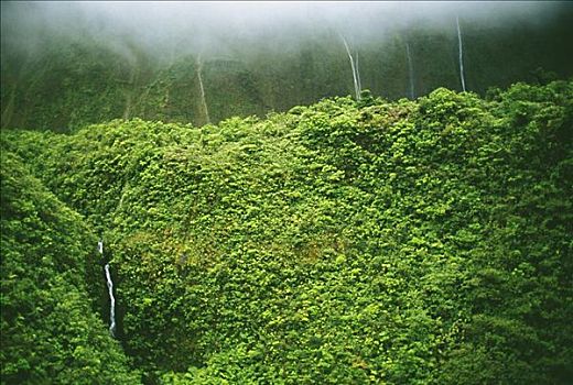 夏威夷,毛伊岛,瀑布,山谷,模糊,凉