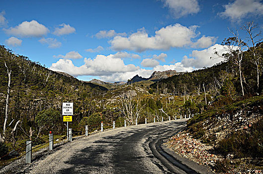 道路,国家公园,世界遗产,区域,塔斯马尼亚,澳大利亚