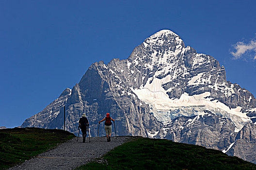 远足者,正面,顶峰,巨大,山,贝塔峰,格林德威尔,伯恩高地,瑞士,欧洲