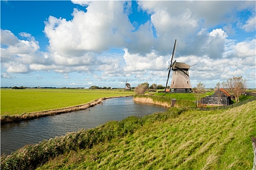 美女,风车,风景,荷兰
