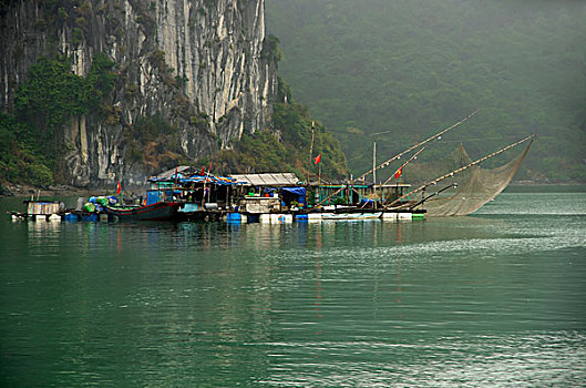 漂浮,房子,船,渔网,杆,上方,水,下龙湾,越南