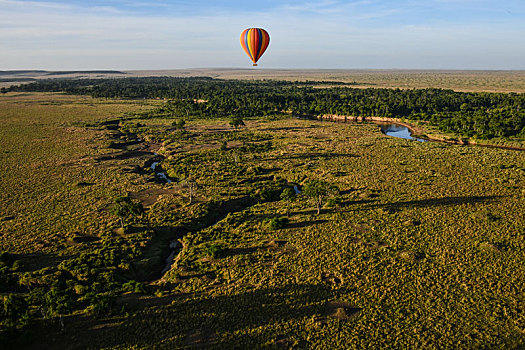 气球,漂浮,俯视,马拉河,肯尼亚