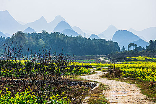 乡村小路