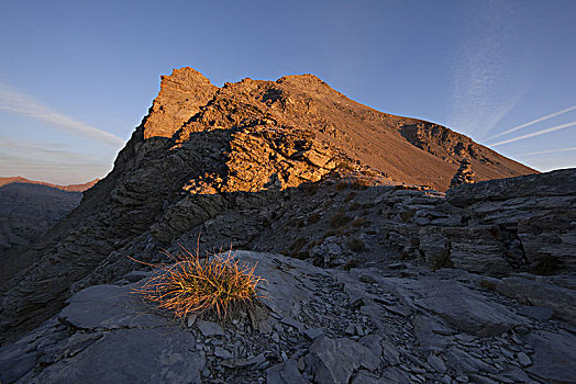 顶楼,日落,阿尔卑斯山,法国