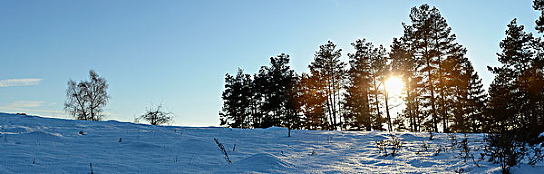冬季风景,阳光,普拉蒂纳特,巴伐利亚,德国