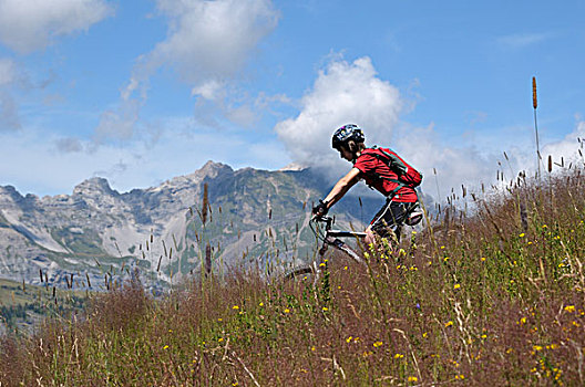 男孩,骑自行车,山峦,阿尔卑斯山,法国
