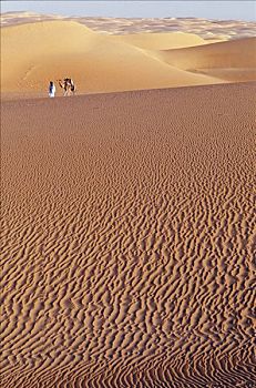 游牧,走,沙漠,骆驼