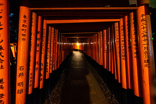 日本京都伏见稻荷大社千本鸟居夜景