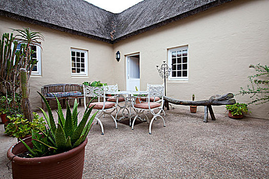 院落,木制长椅,铁,白色,家具,围绕,盆栽,南非