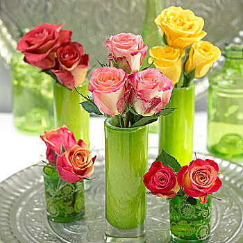 种类,玫瑰,花瓶,桌饰