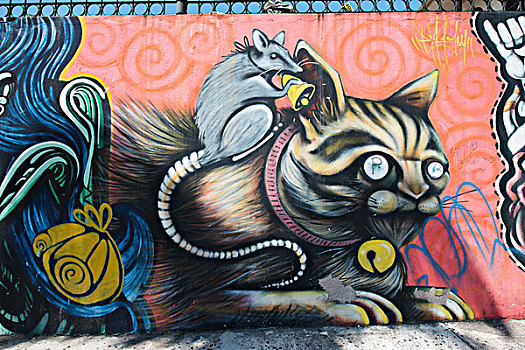猫,鼠标,涂鸦,圣荷塞,市区,省,哥斯达黎加,北美
