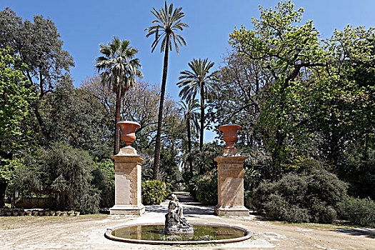 喷泉,植物园,巴勒莫,省,西西里,意大利,欧洲