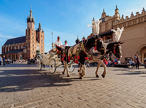 马车,大教堂,背景,市场,广场,克拉科,小波兰省,波兰,欧洲