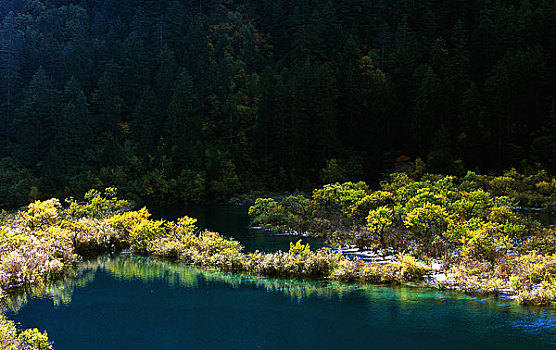 九寨沟秋天