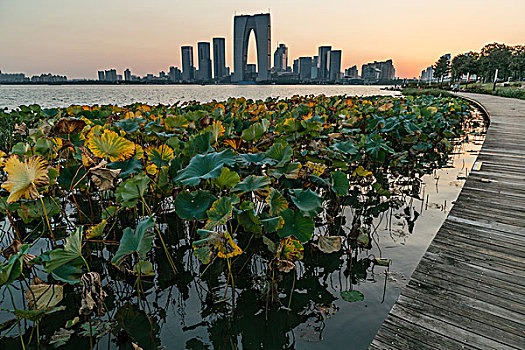 苏州金鸡湖