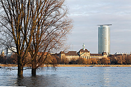 堤岸,莱茵河,河,塔型建筑物,潮水,冬天,北莱茵-威斯特伐利亚,德国,欧洲