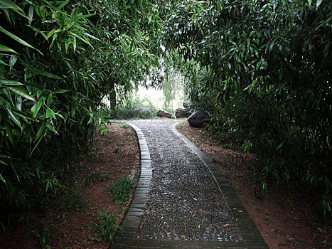 雨天小路