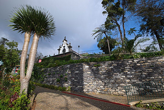 葡萄牙,马德拉岛,蒙特卡罗,棕榈树,小教堂,植被