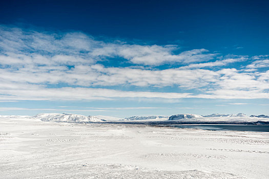 雪,冬季风景,南方,冰岛