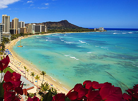 夏威夷,瓦胡岛,怀基基海滩,酒店,钻石海岬,花