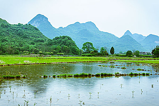 田园风光