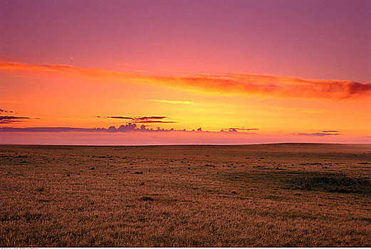 日出,东方,草原国家公园,萨斯喀彻温,加拿大