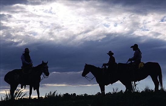剪影,三个,牛仔,骑马,新墨西哥,美国