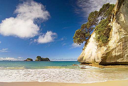 白色,石灰石,岩石构造,沙滩,大教堂,小湾,科罗曼德尔,半岛,新西兰,北岛