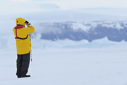 游客,双筒望远镜,雪丘岛,南极