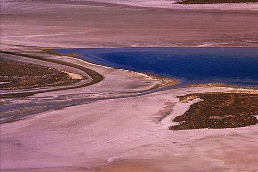 盐湖,阿塔卡马沙漠,智利
