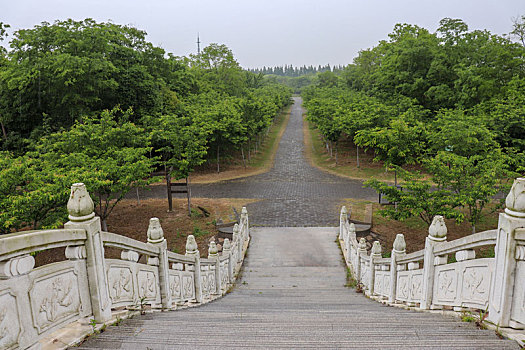 海湾森林公园桥梁