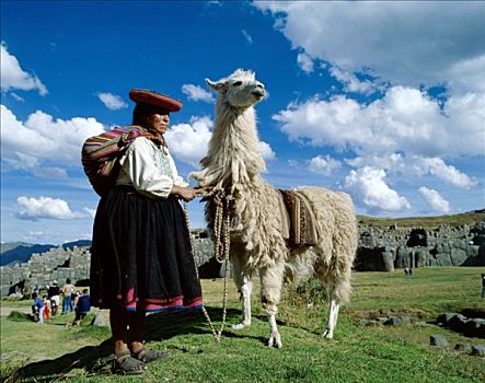 萨克塞华曼,秘鲁人,女人,美洲驼,库斯科市,秘鲁