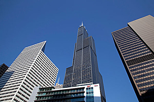 塔,最高,建筑,团结,芝加哥,伊利诺斯,美国,北美