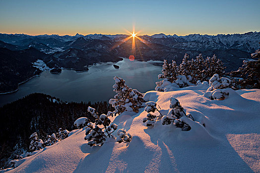 清晨,风景,瓦尔幸湖,巴伐利亚阿尔卑斯山,上巴伐利亚,巴伐利亚,德国