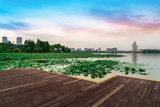 南京玄武湖公园风光