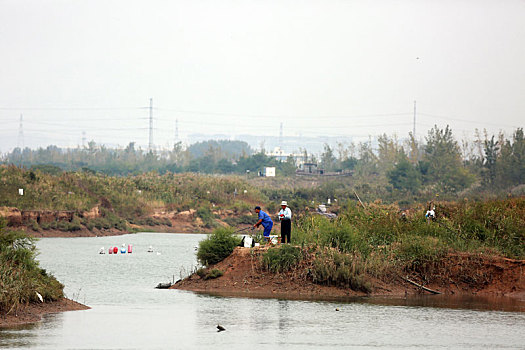 付疃河湿地公园成垂钓乐园,市民挥杆垂钓乐享假期