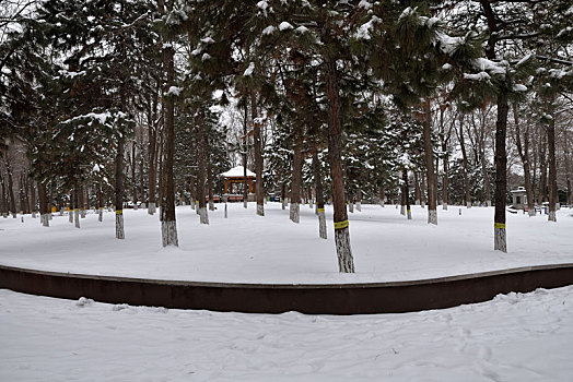 河北省石家庄市公园雪景