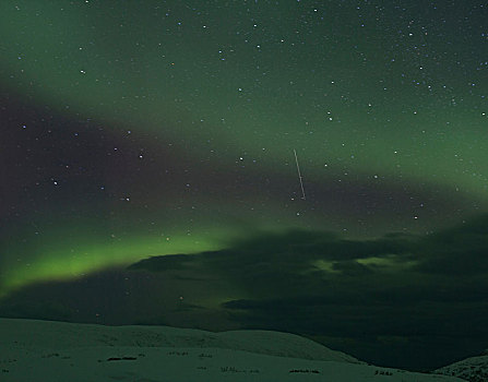 北极光,上方,积雪,风景,夜晚,挪威